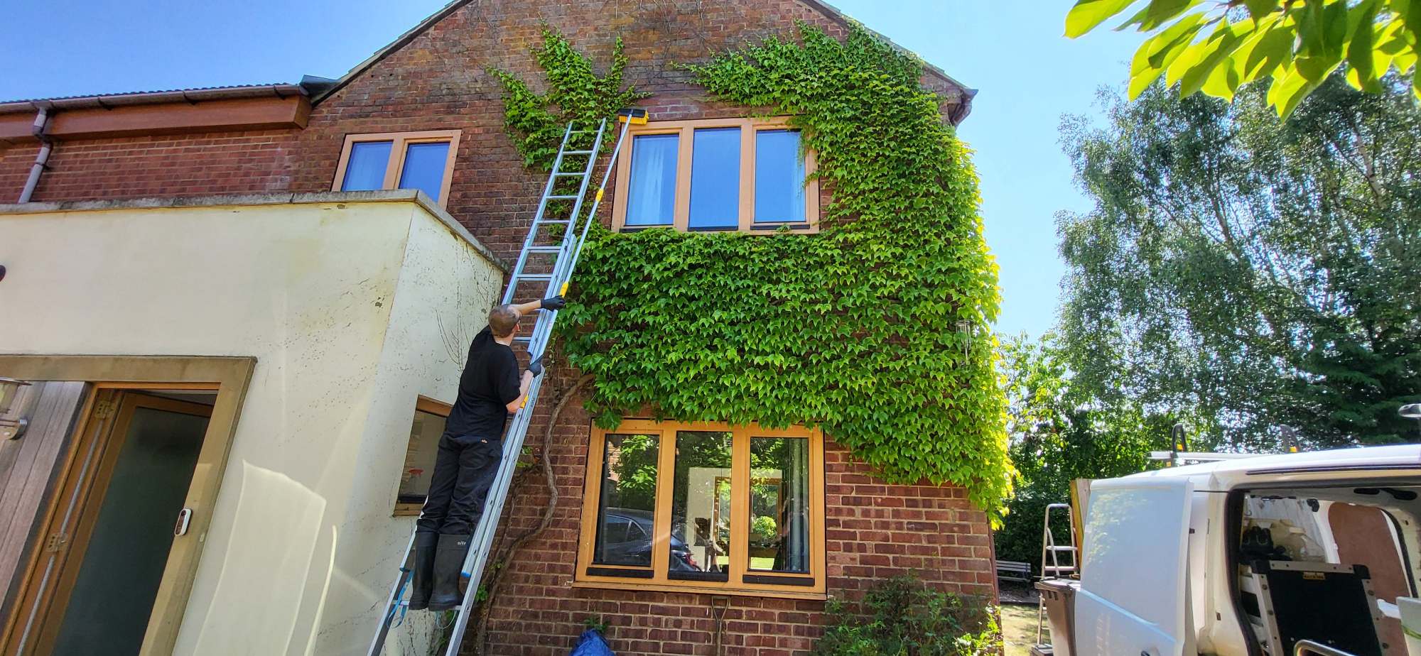 Soft wash brickwork